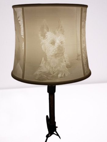 3D Printed - Lamp Shade - Image 2