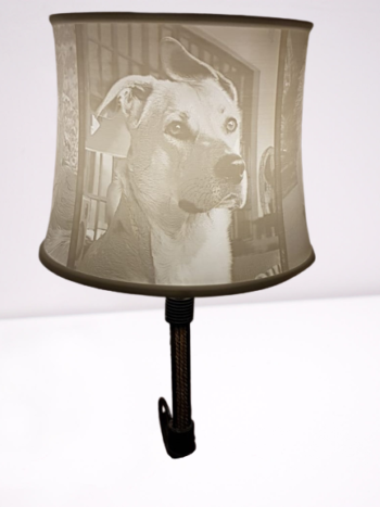 3D Printed - Lamp Shade